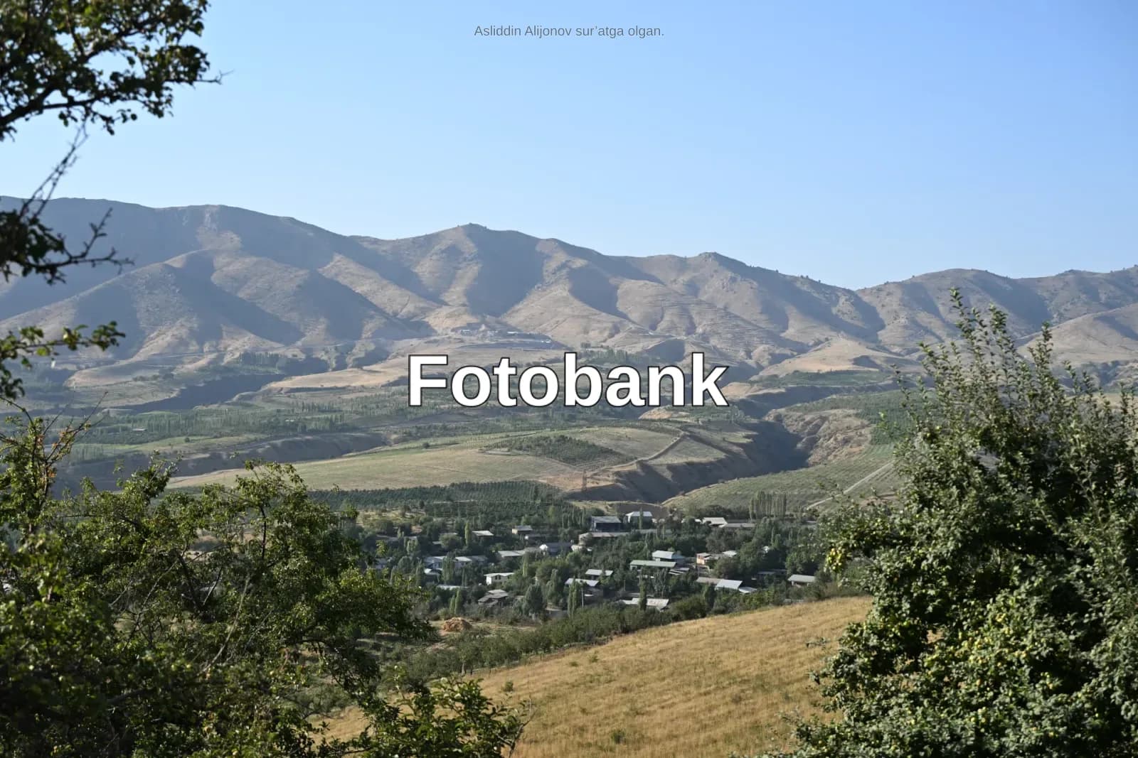 Vodiyda aholi punkti boʻlgan togʻ landshafti