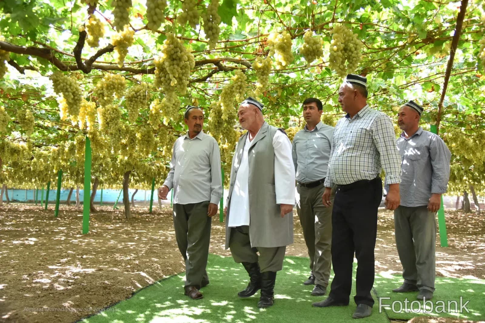 Uzumzorda sayr qilayotgan erkaklar