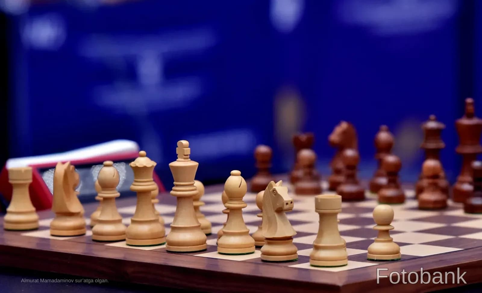 Chess pieces arranged on a board