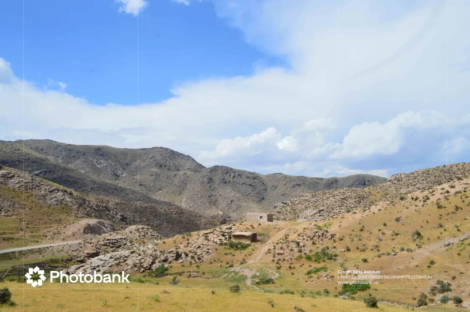 Mountain landscape with rocky terrain and sparse vegetation under a blue sky