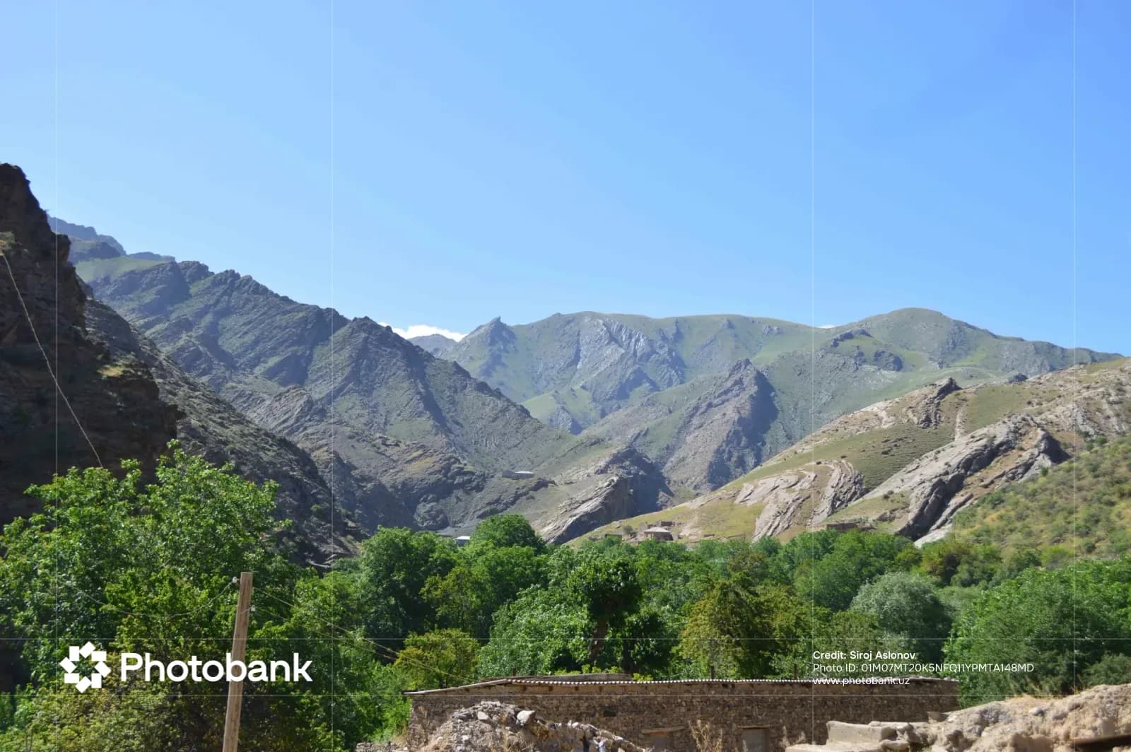 Mountain landscape with green trees and rocky terrain