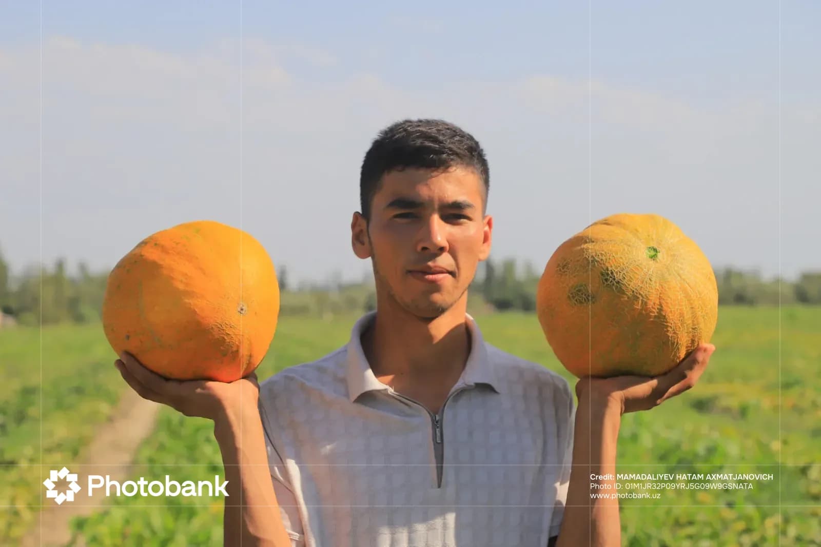Man holding melons in a field