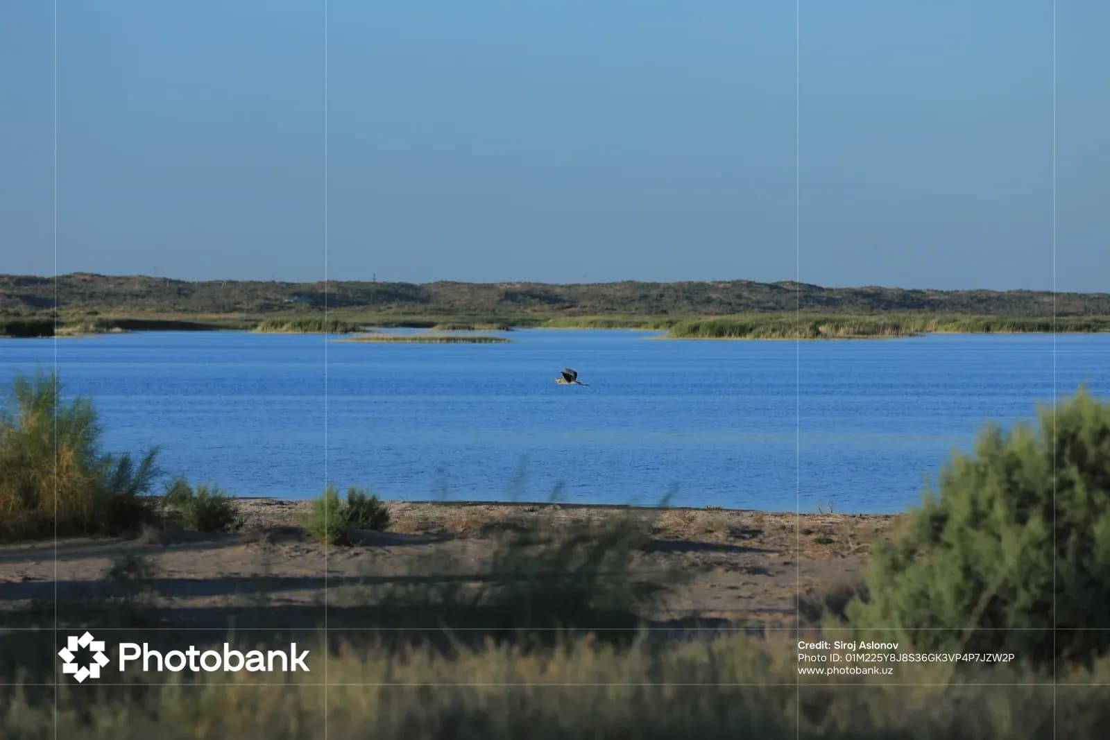 Айдаркўл манзаралари