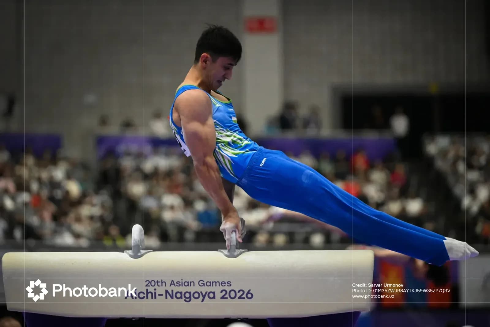 “Aichi-Nagoya-2026”: Sport gimnastikachilarimiz finalga yo‘l oldi