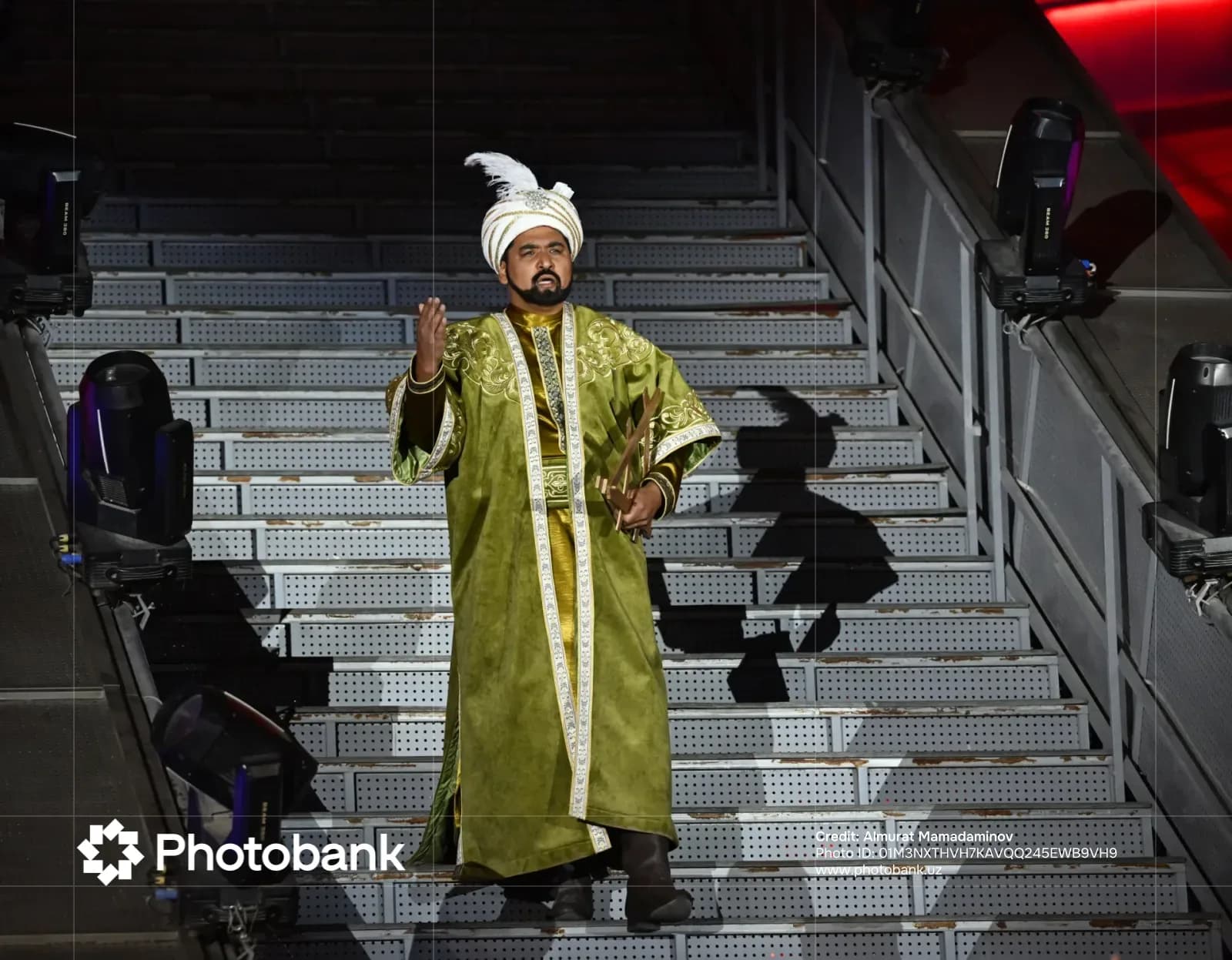 Person in traditional costume standing on stairs