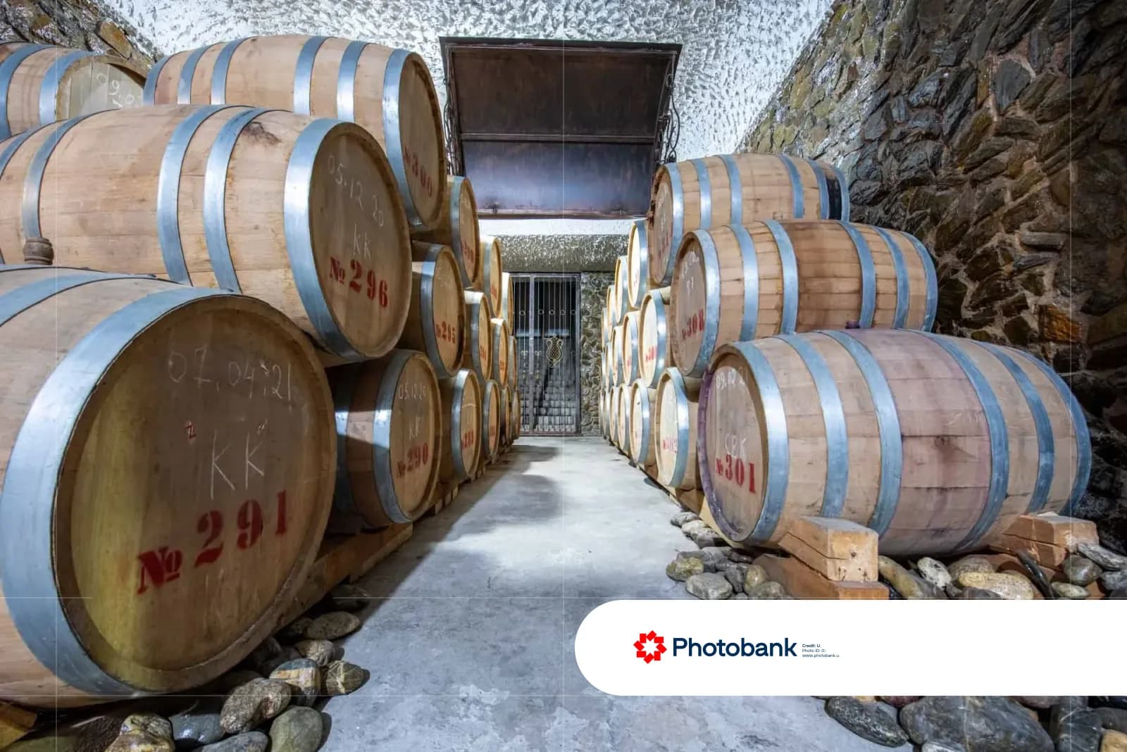 Wooden barrels stored inside an underground cellar