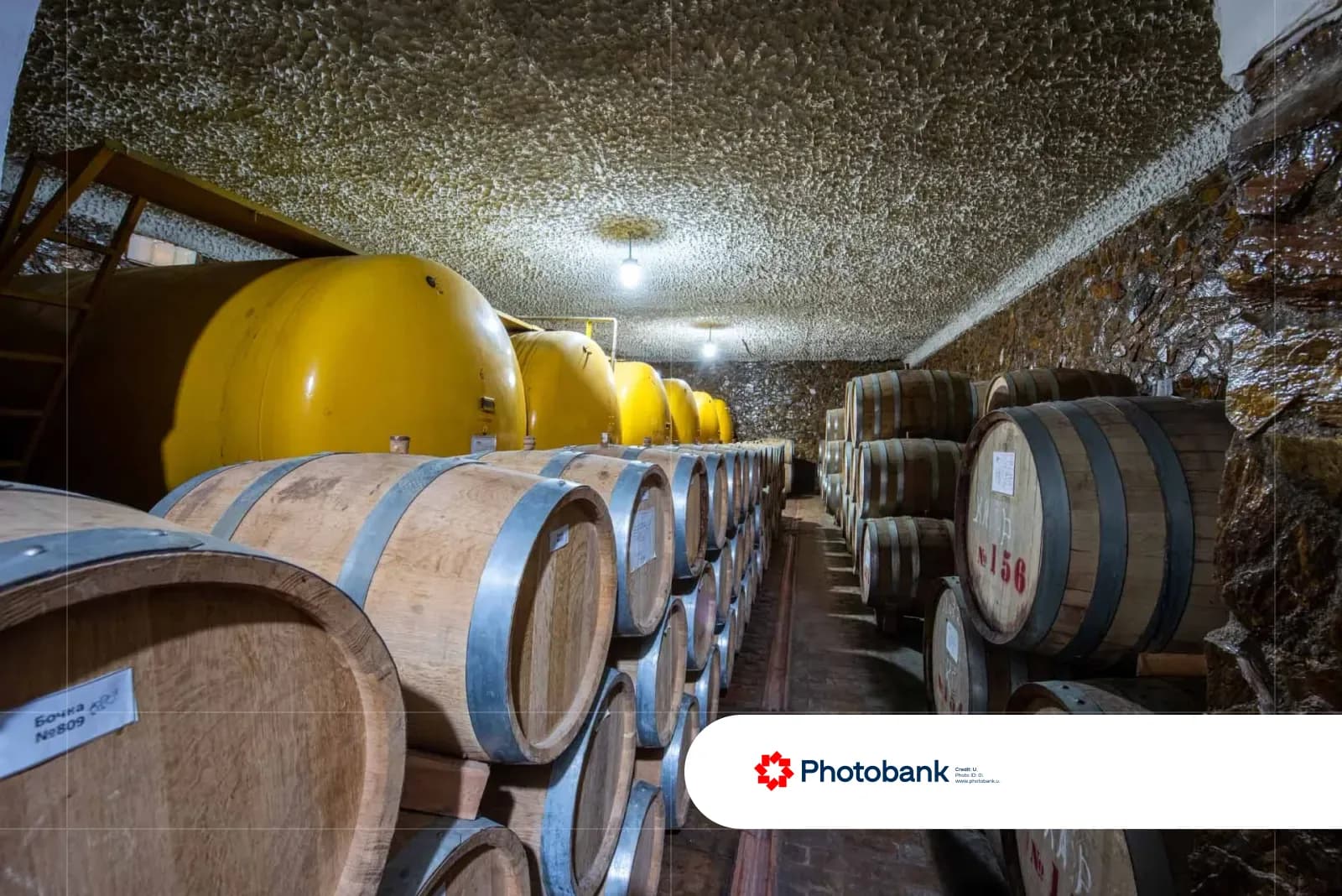 Wine cellar with wooden barrels and large tanks