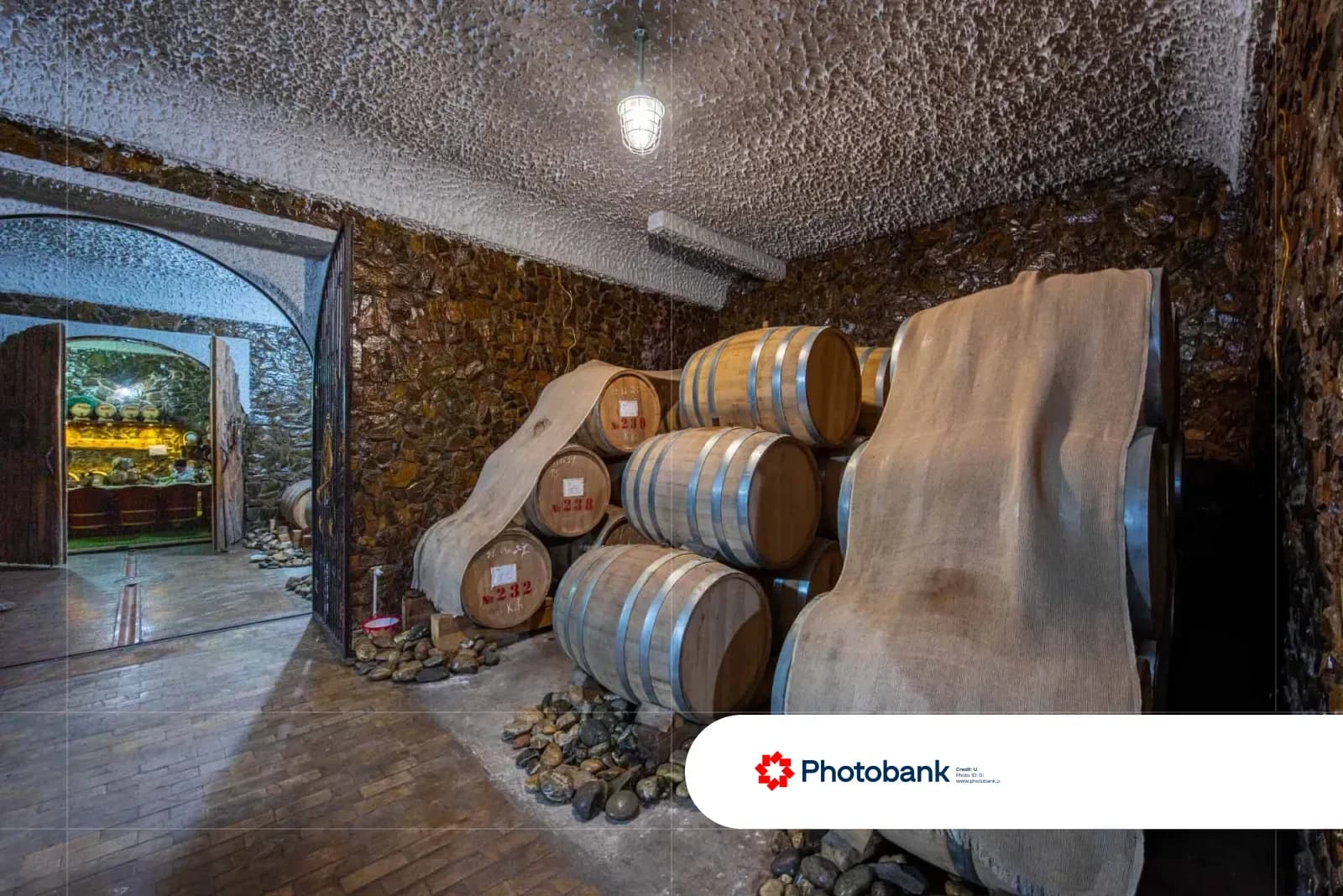 Wooden barrels stored in a cellar
