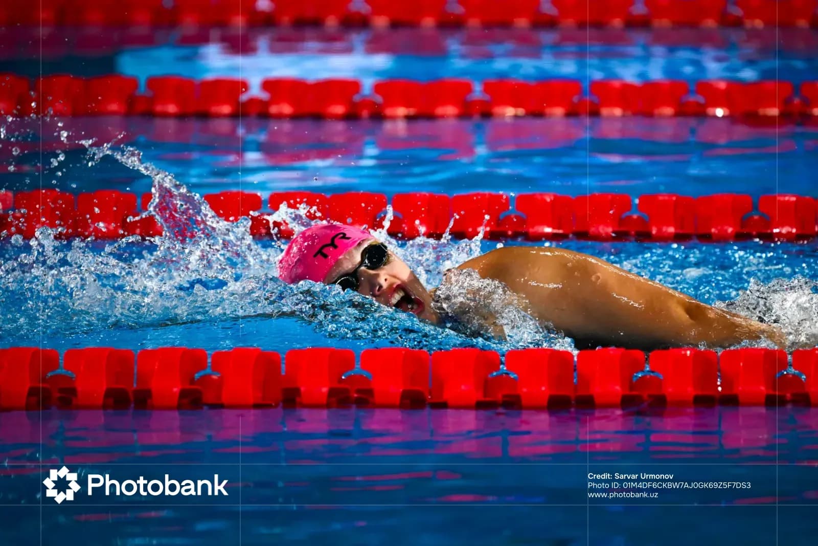 Swimmer in a pool