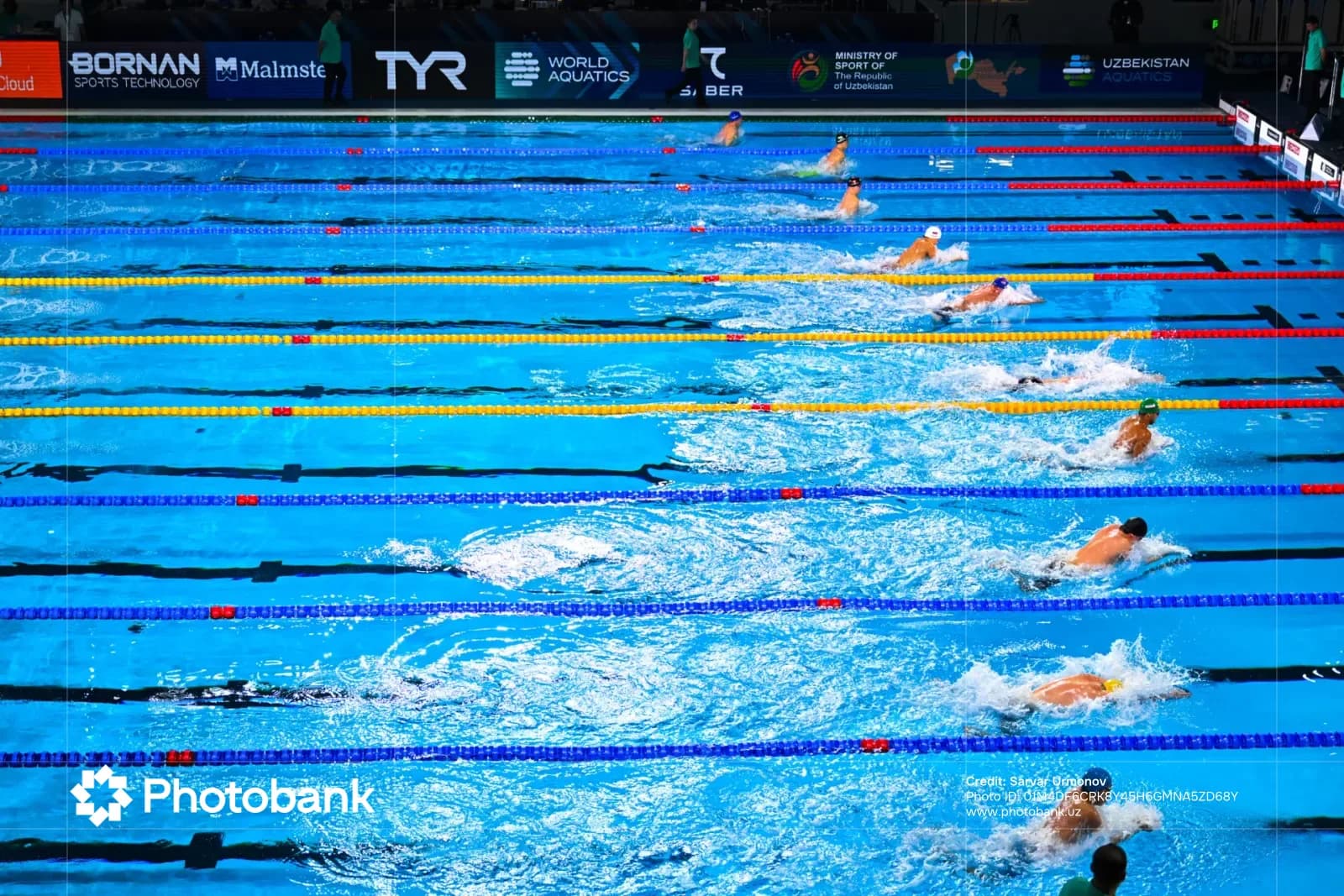 Swimmers compete in lanes during an indoor pool race