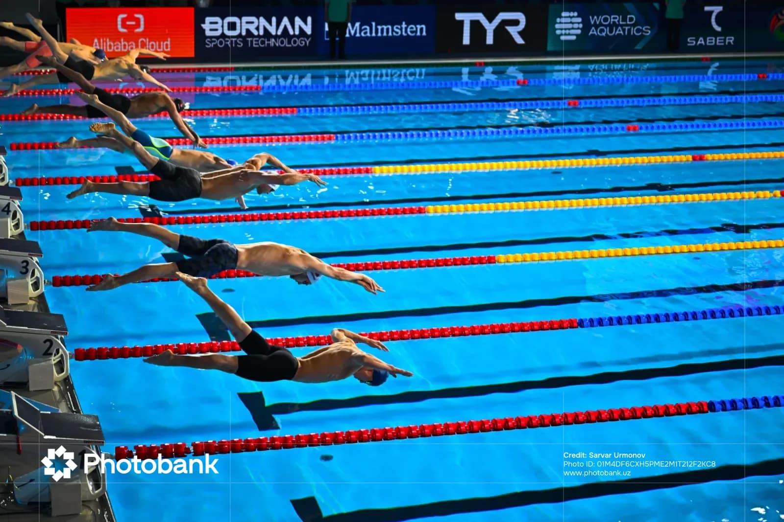 Swimmers diving into pool from starting blocks at competition