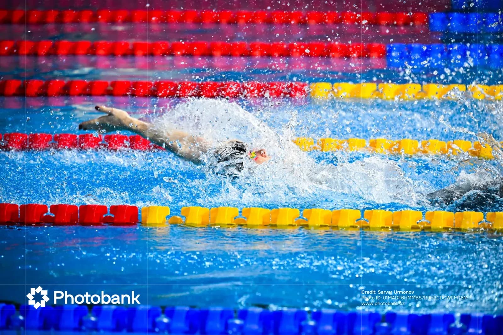 Swimmer in a pool competition
