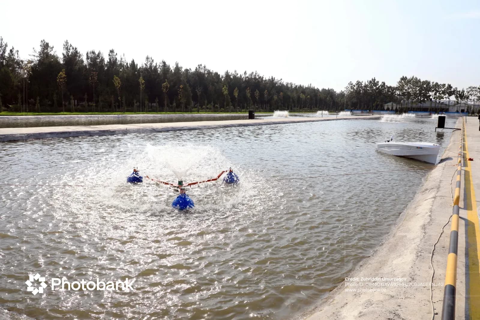 Водяной фонтан, работающий в открытом искусственном бассейне