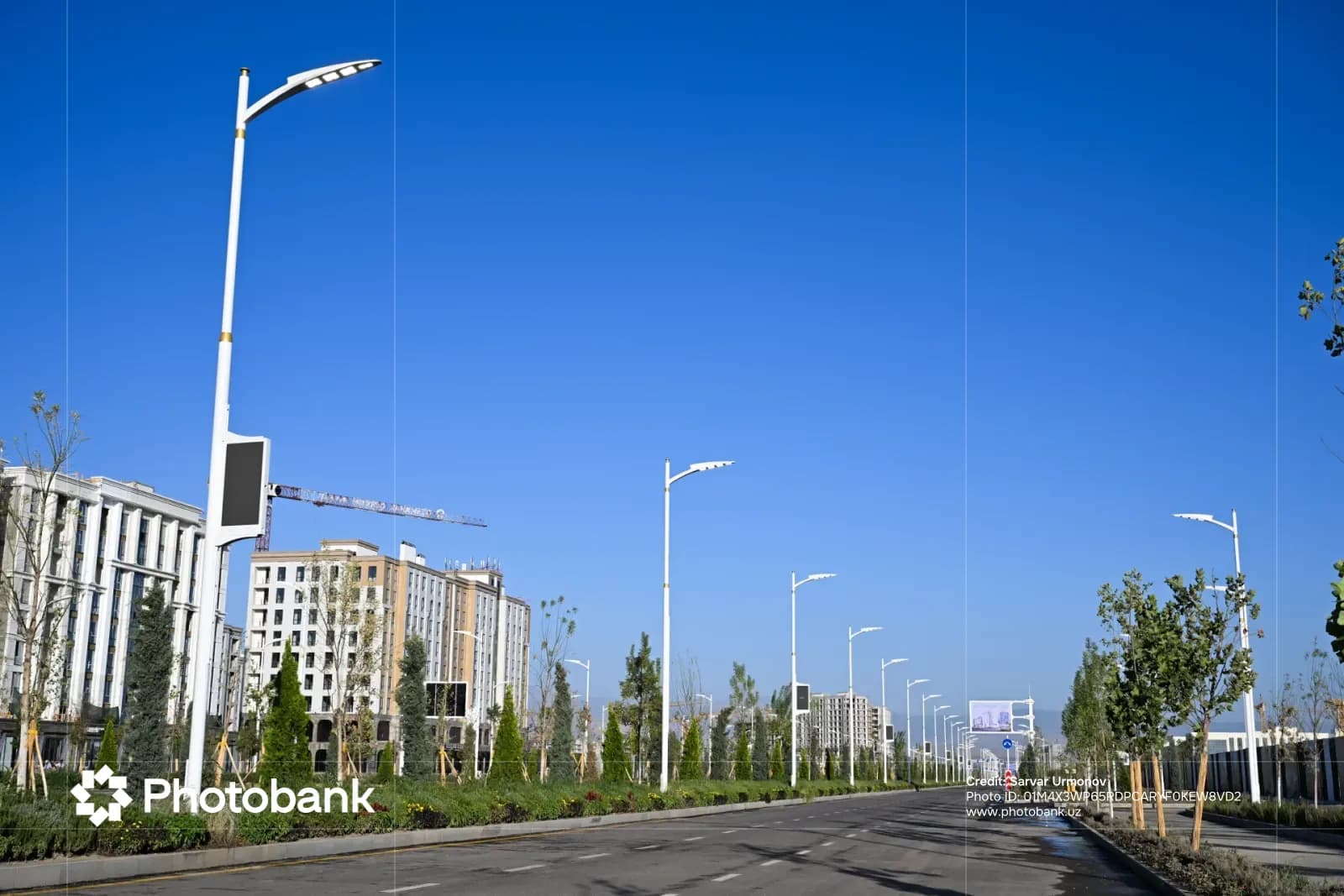 Modern asphalt road lined with white lampposts and buildings under clear blue sky