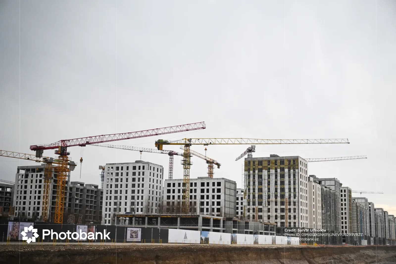 Construction site with multiple high-rise buildings and cranes