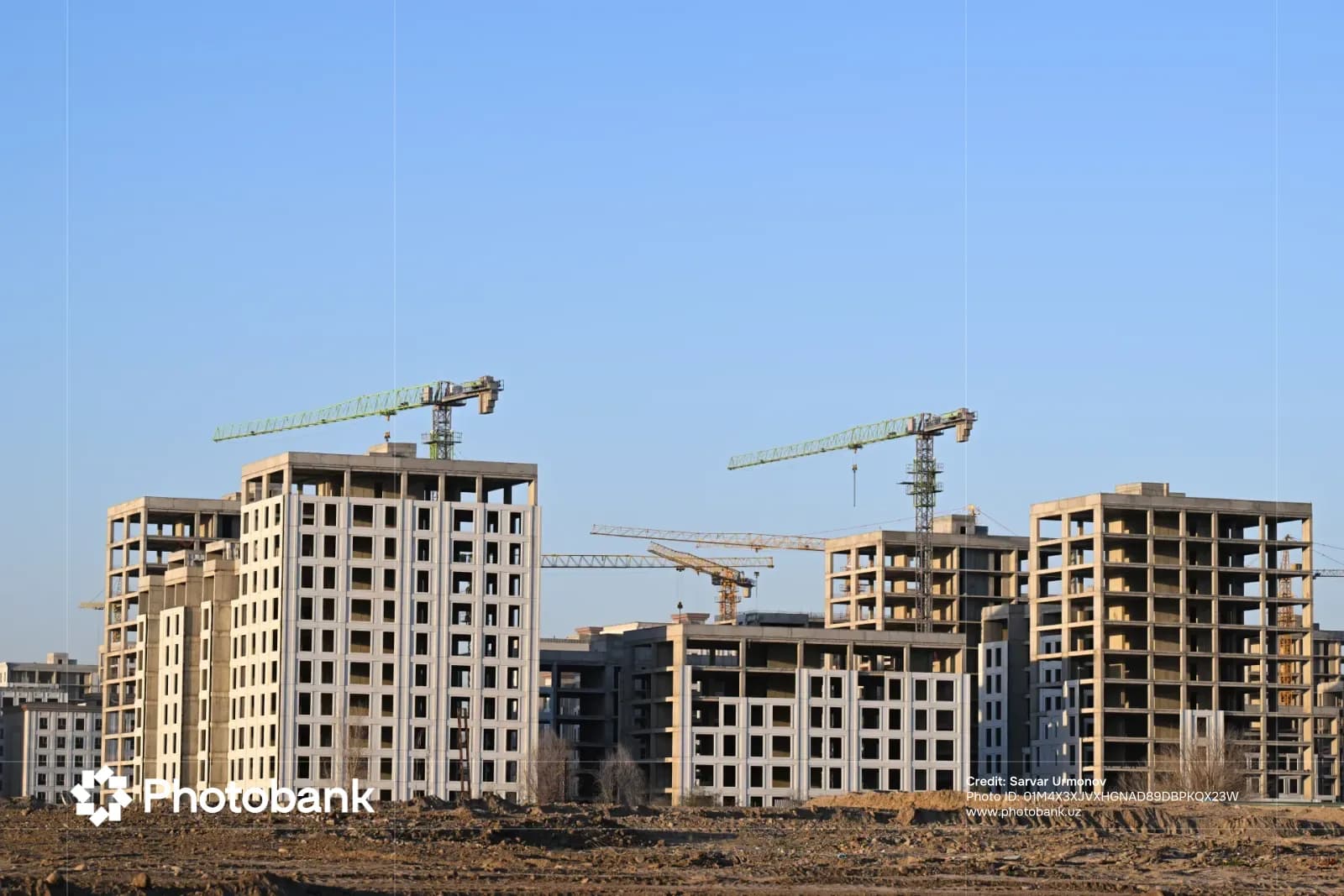 Construction site with multiple unfinished multi-story concrete buildings and tower cranes