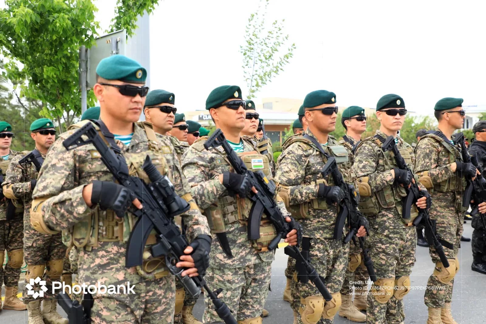 Военнослужащие в камуфляжной форме, стоящие в строю