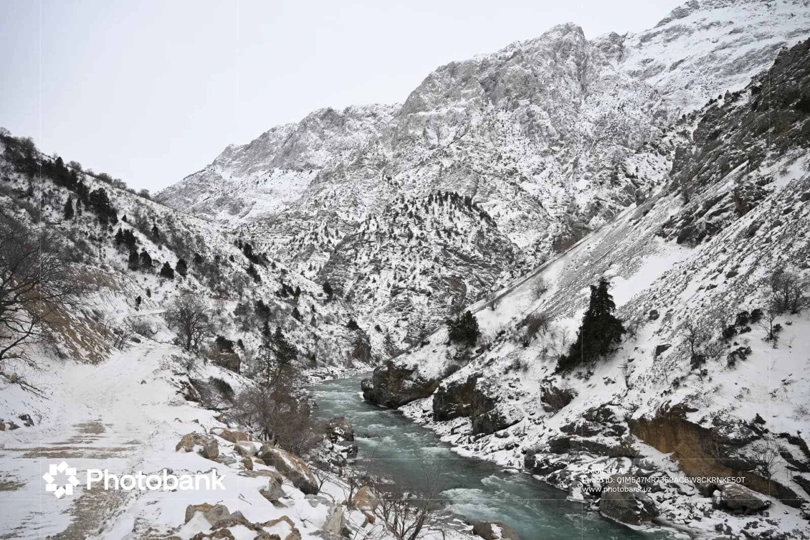 Snowy mountain landscape with a flowing river
