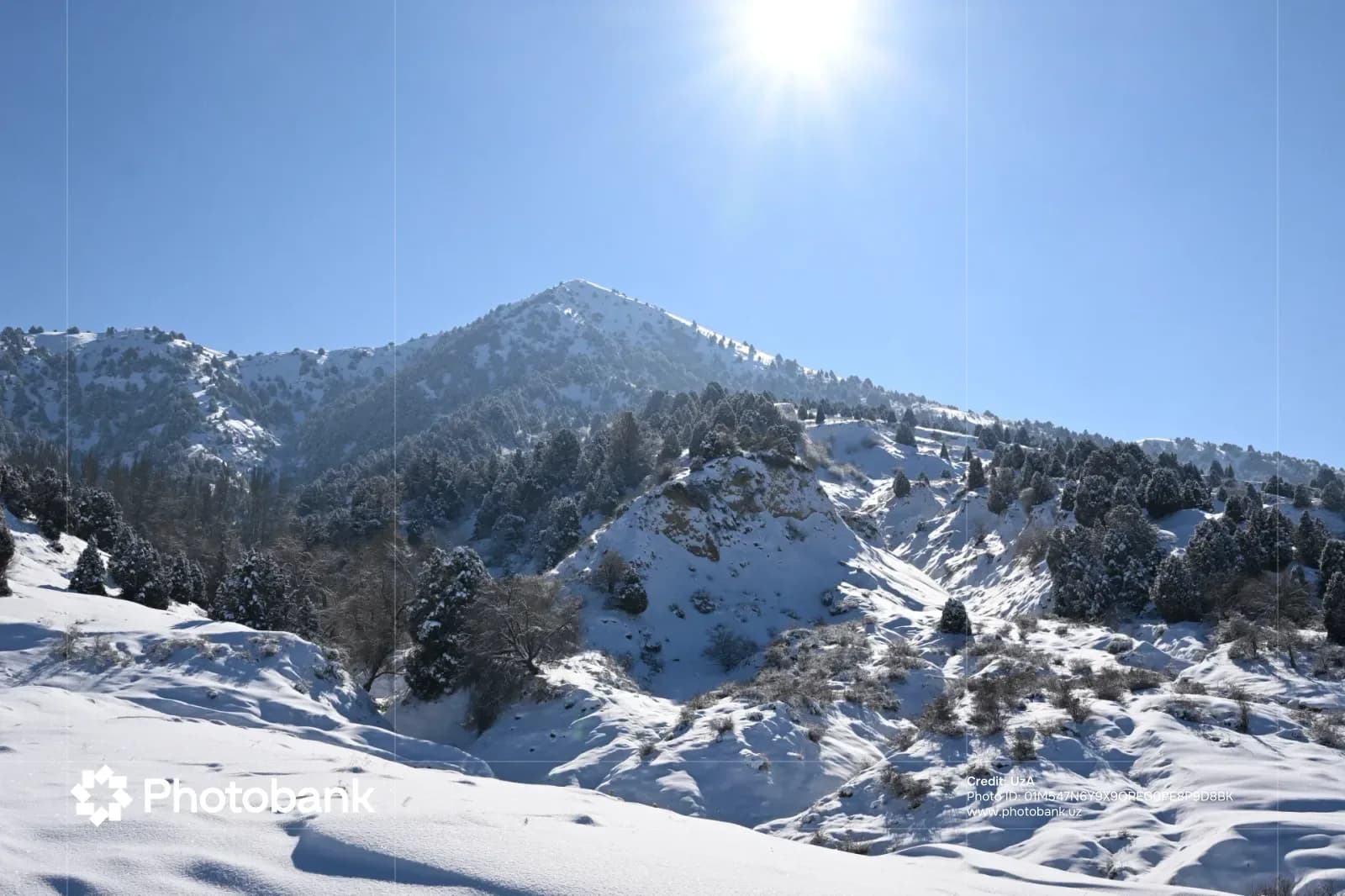 Snow-covered mountain landscape under a bright sun