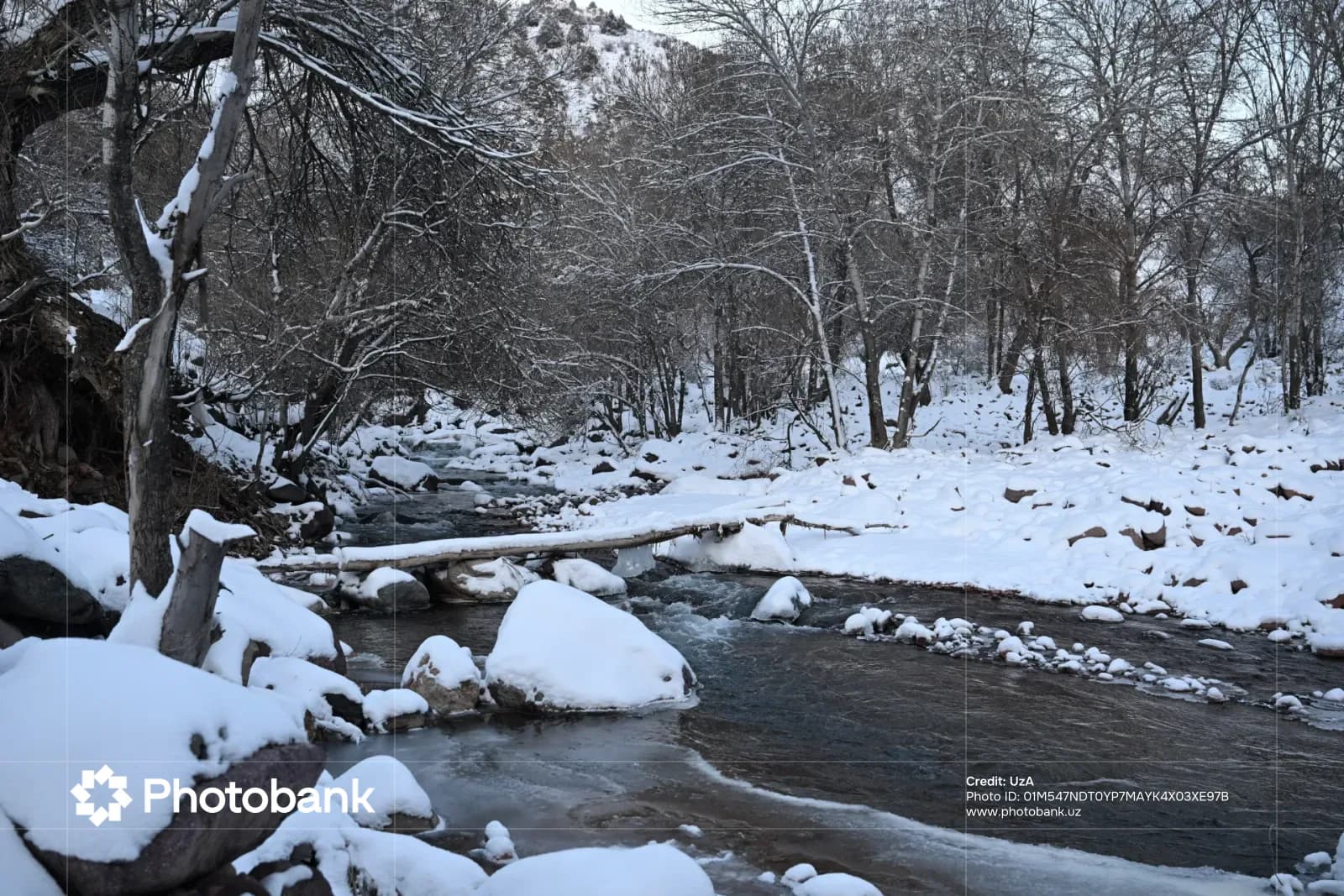 Snow-covered river flowing through a winter landscape with trees