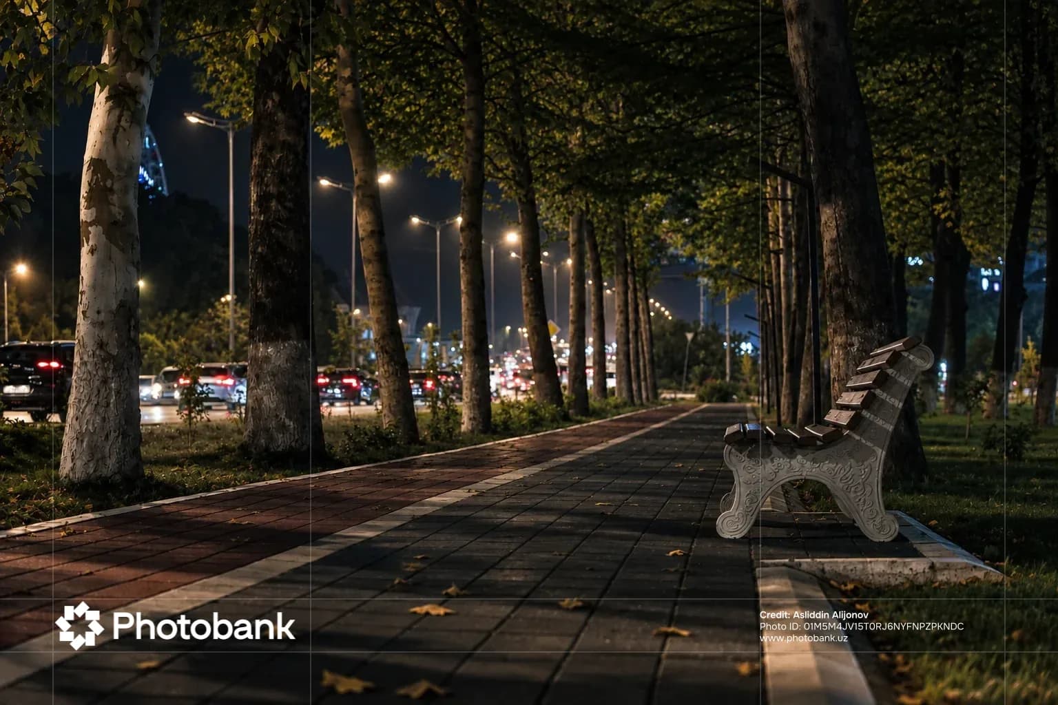 Park pathway illuminated at night