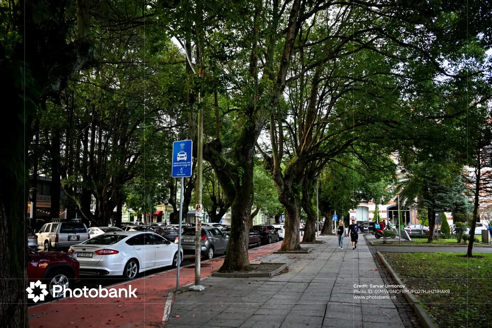 Batumi — Qora dengiz sohilidagi maftunkor shahar