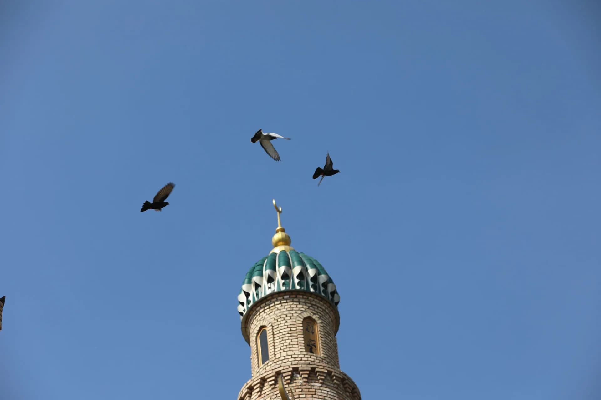 Namangan viloyatidan fotoreportaj