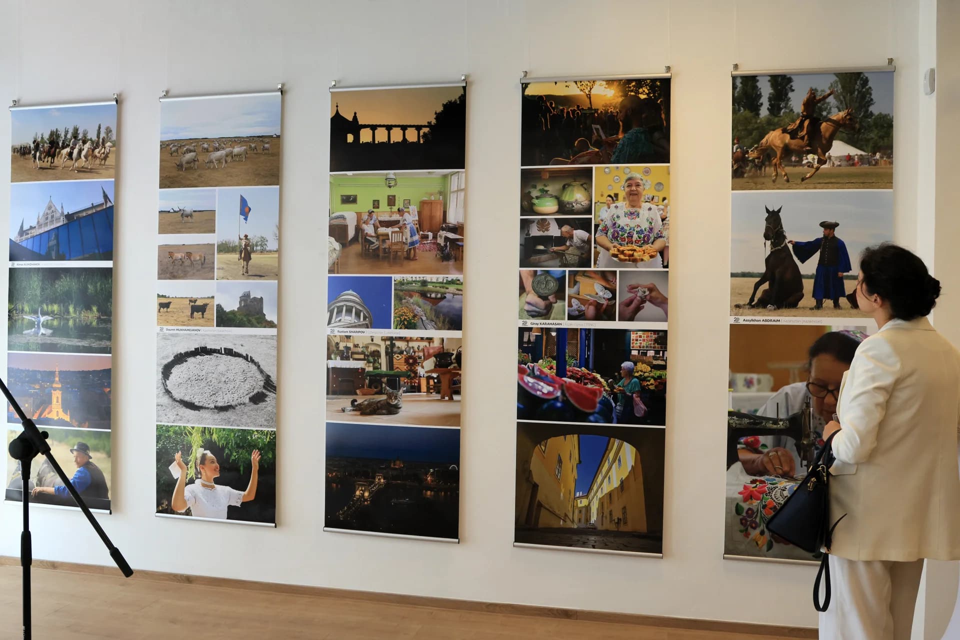 Person viewing photo exhibitions on a gallery wall
