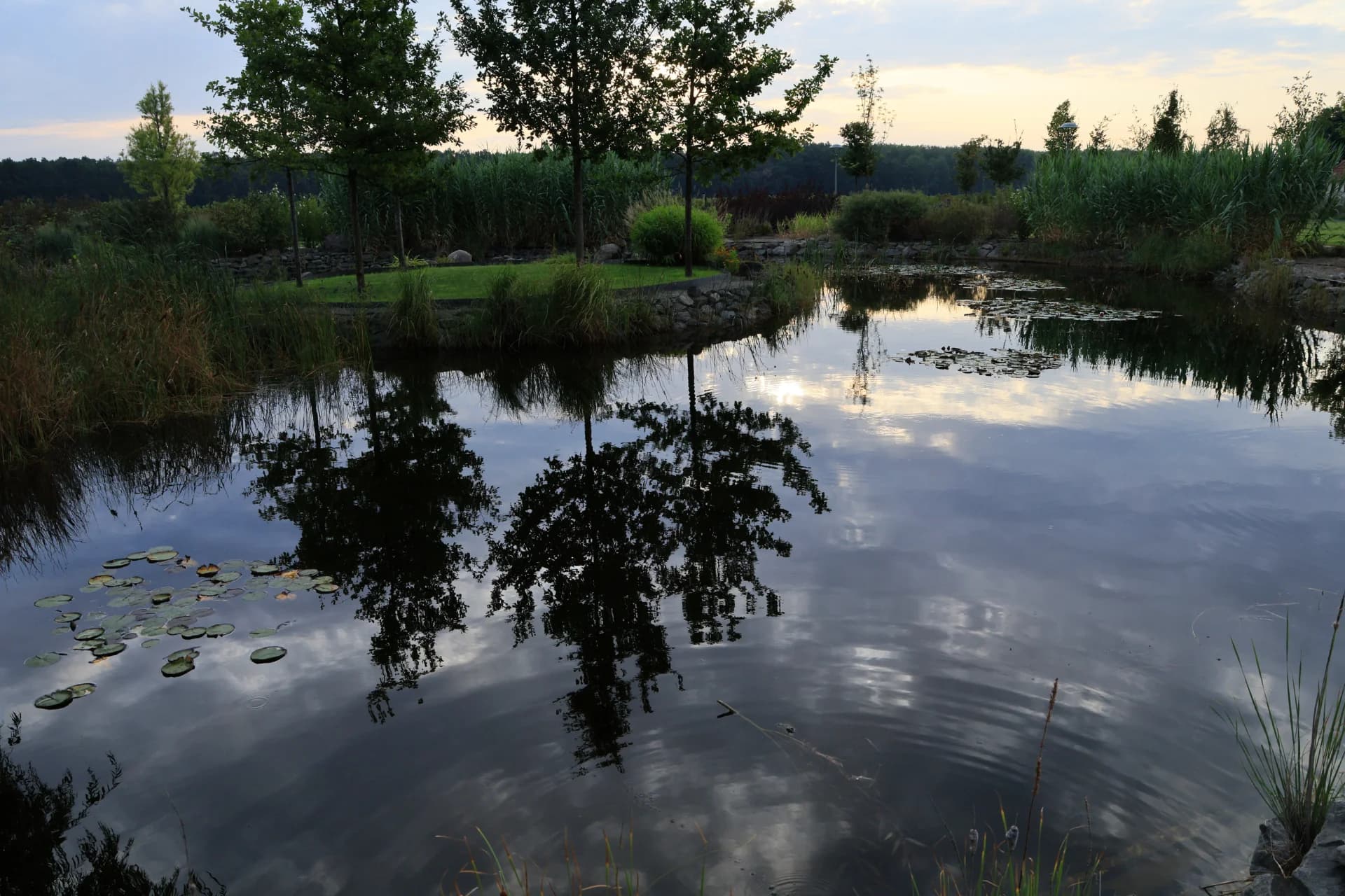 Vengriya