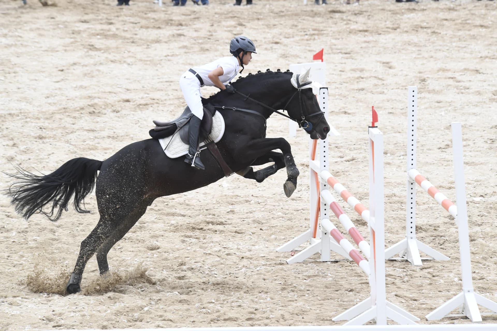 Equestrian athlete riding a horse jumping over an obstacle