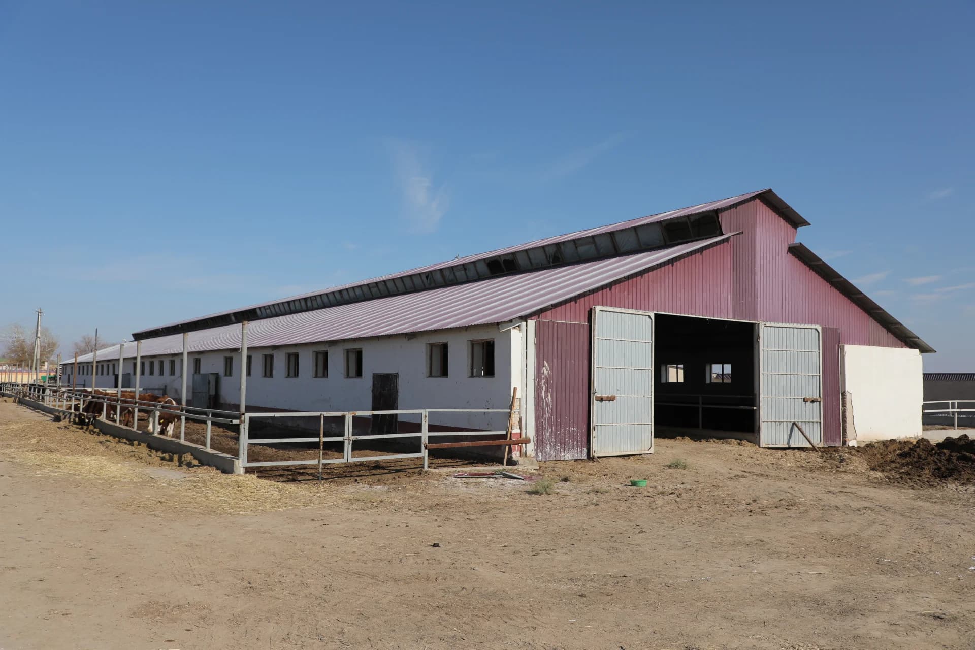 Rural livestock barn with fenced enclosure and cattle