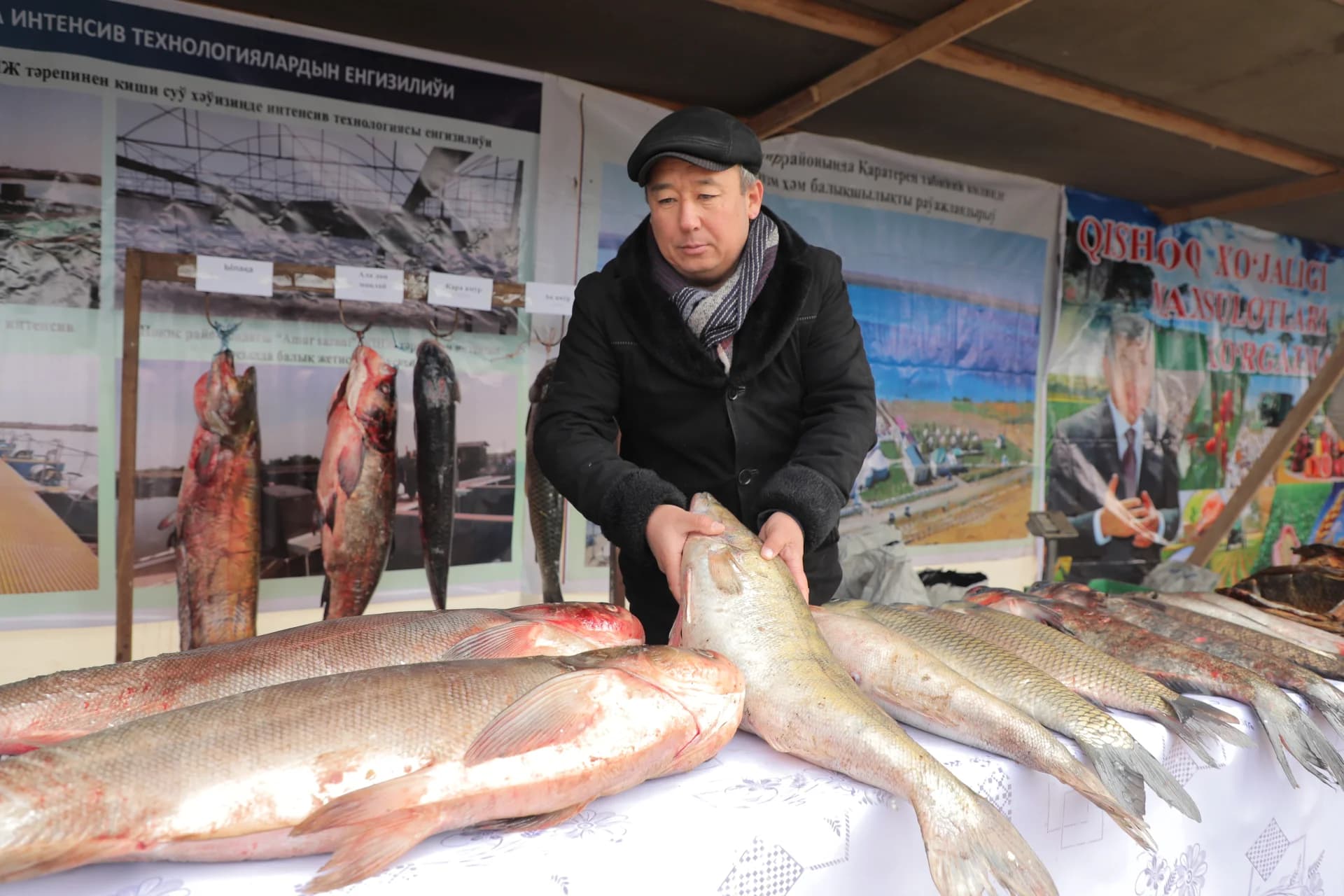 Man arranging fish at a market stall