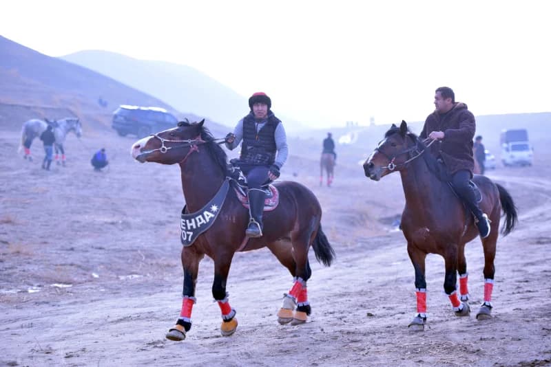Uloq - ko`pkari - photo 20