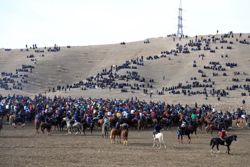 Uloq - ko`pkari - photo 7