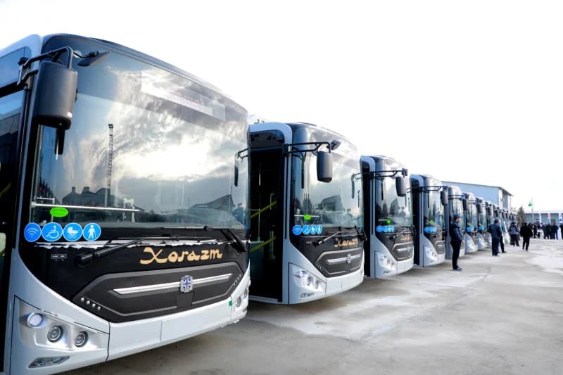 New buses parked outdoors lineup