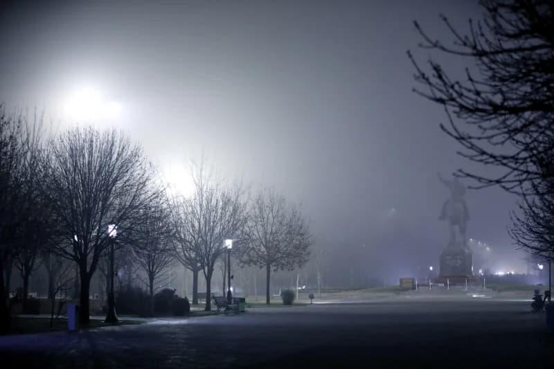 Daraxtlar va yodgorlik bilan tumanli park