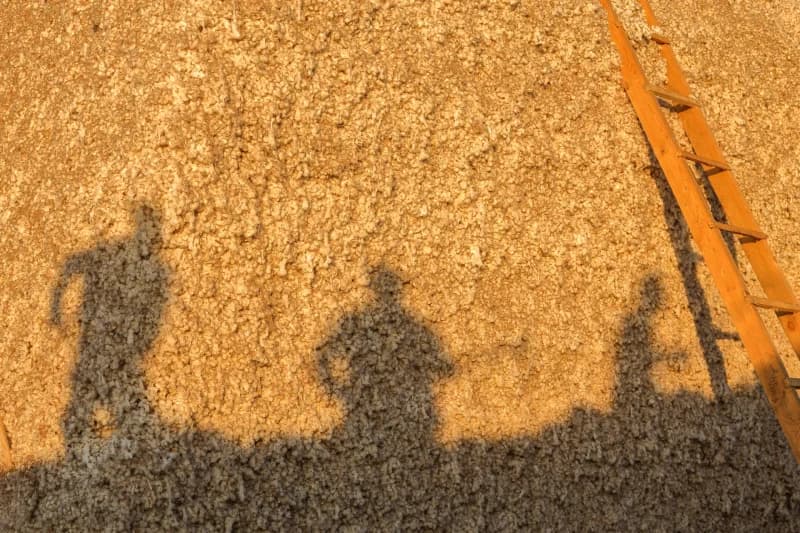 Shadows of workers and wooden ladder on harvested cotton pile