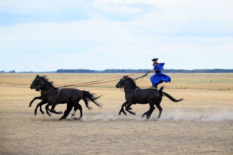 Person riding horses across an open landscape