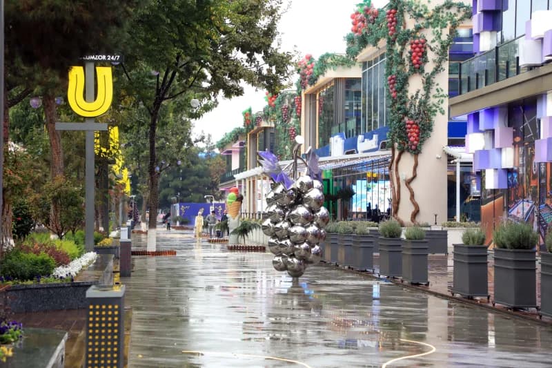 Turizm ko‘chasi shaharga o‘zgacha ko‘rk bag‘ishladi - photo 12