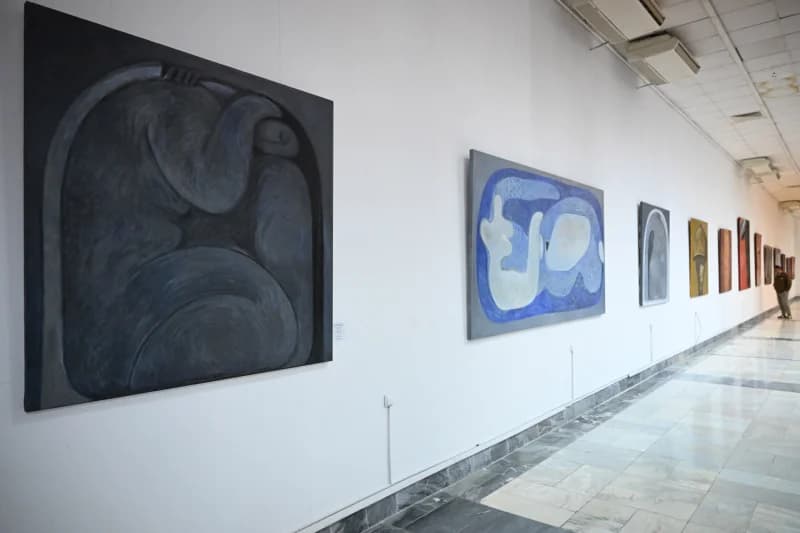 Art paintings displayed on a gallery wall