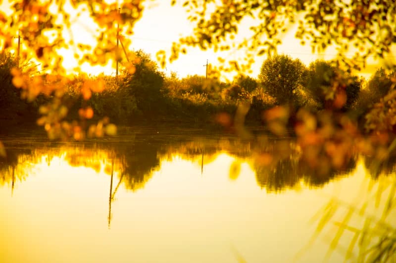 Golden hour landscape with water and trees