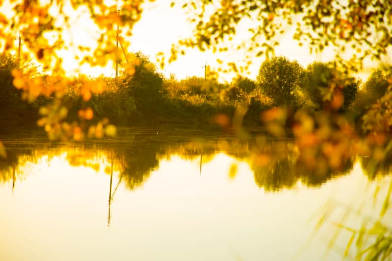 Scenic landscape featuring a calm river and vegetation at sunset